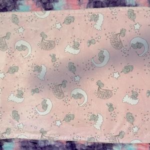 Baby Girl Minky Blanket